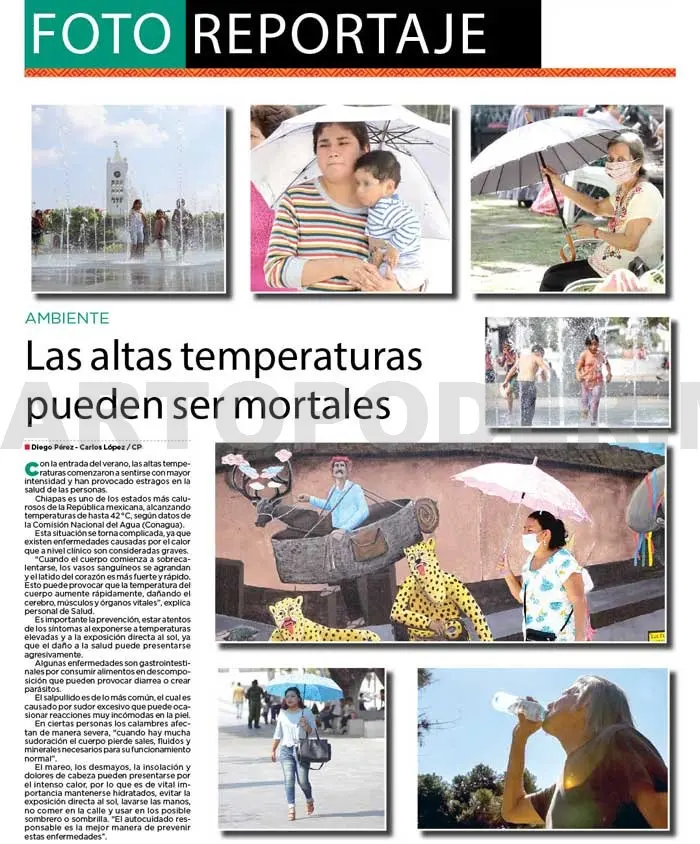 Las altas temperaturas pueden ser mortales