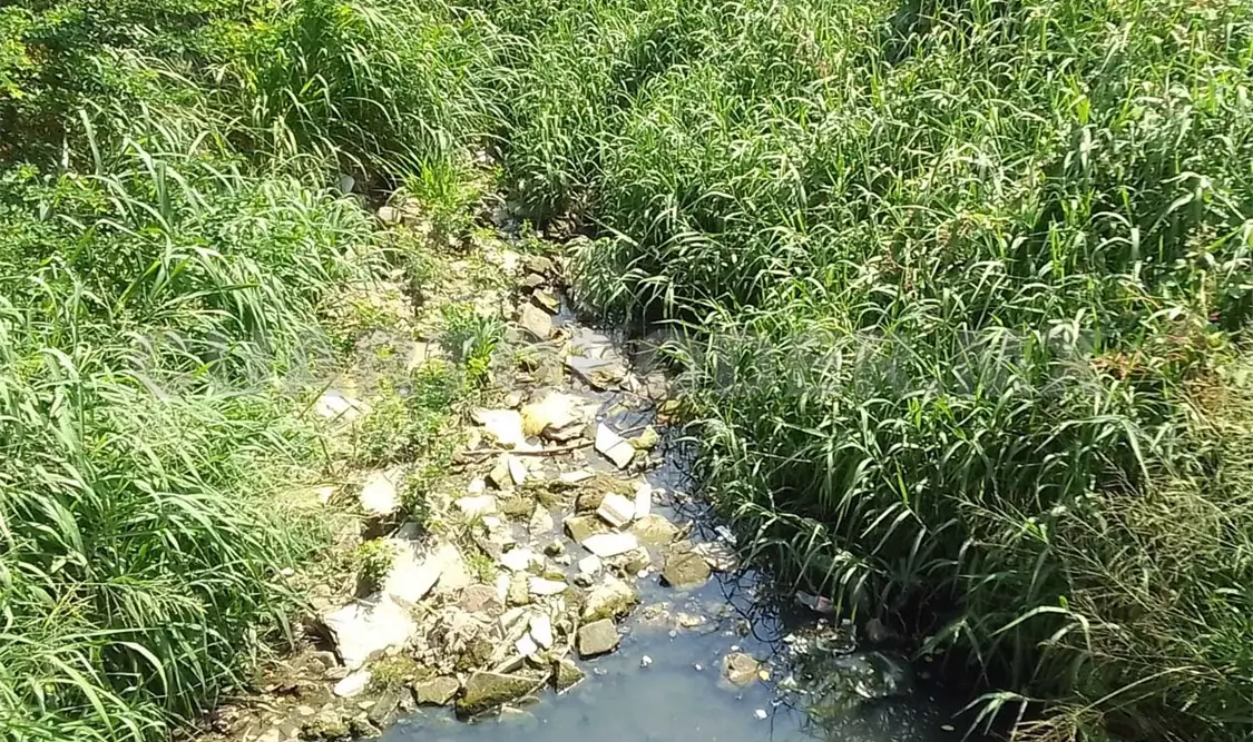 La presencia de basura genera además de pestilencia, encharcamientos y poca fluidez del agua. Noel Vázquez / CP