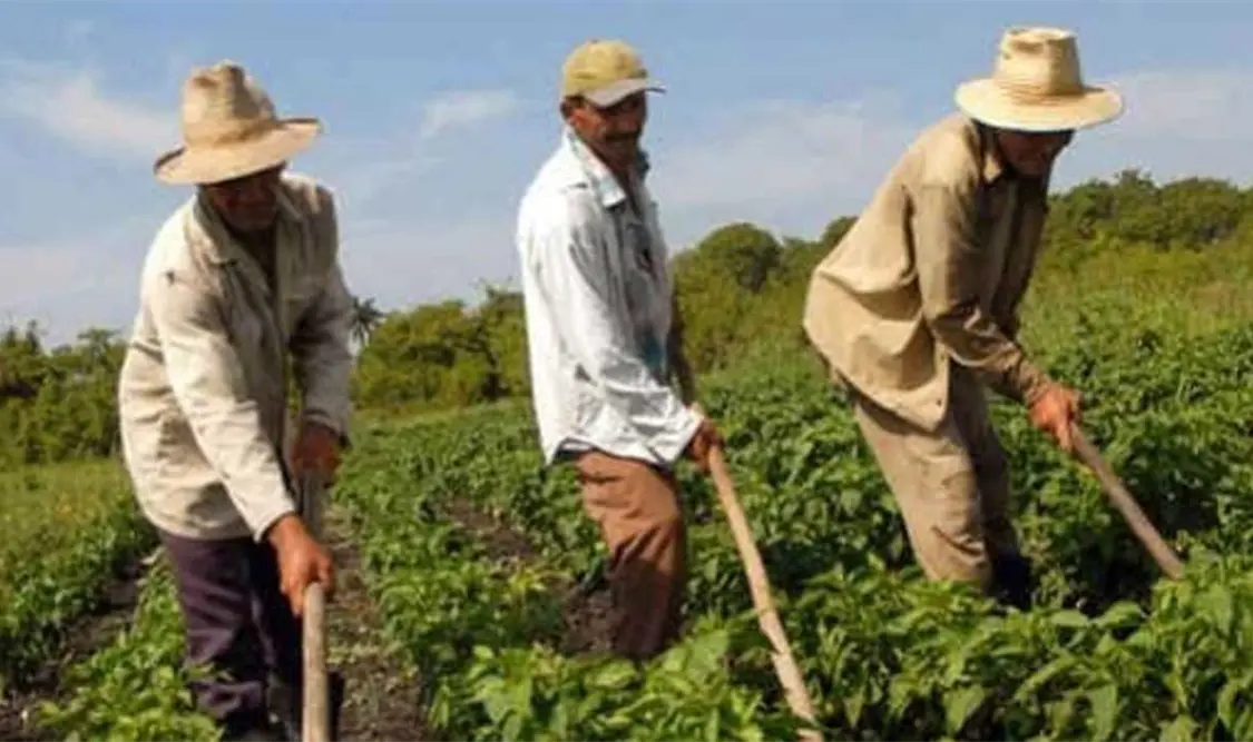 El líder panista lamentó la falta de apoyo a los campesinos. Cortesía
