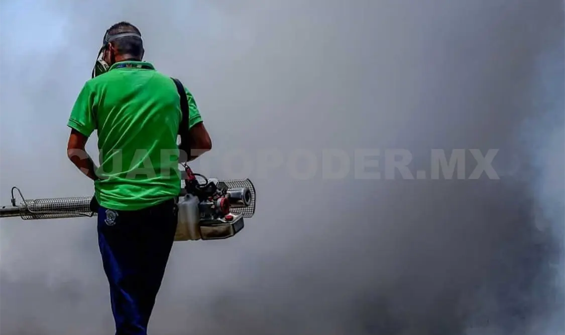 El año pasado hubo más de 900 casos positivos de dengue en Chiapas. Diego Pérez / CP