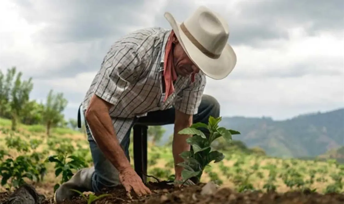 La decisión gubernamental afectará a los pequeños y medianos productores. Cortesía