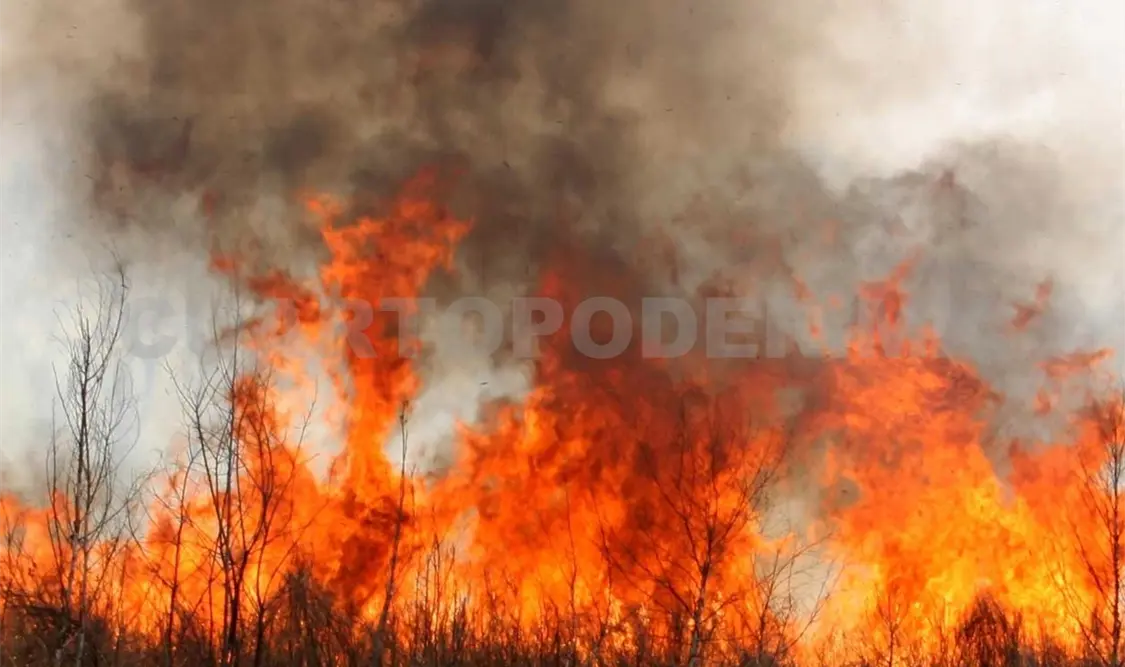 Supera la entidad 5 mil 600 hectáreas quemadas