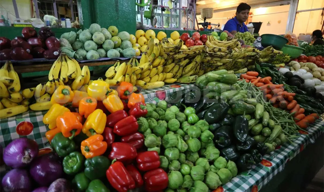 Fortalecen la producción orgánica