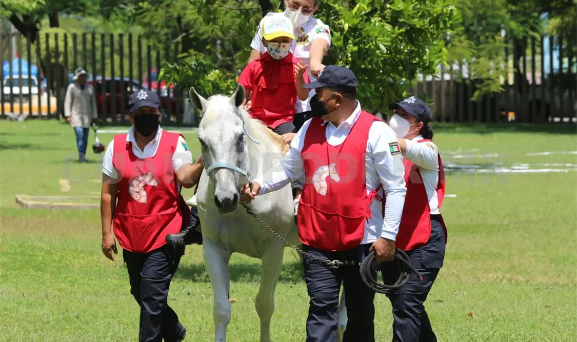 Equinoterapia para niños, un exitoso servicio