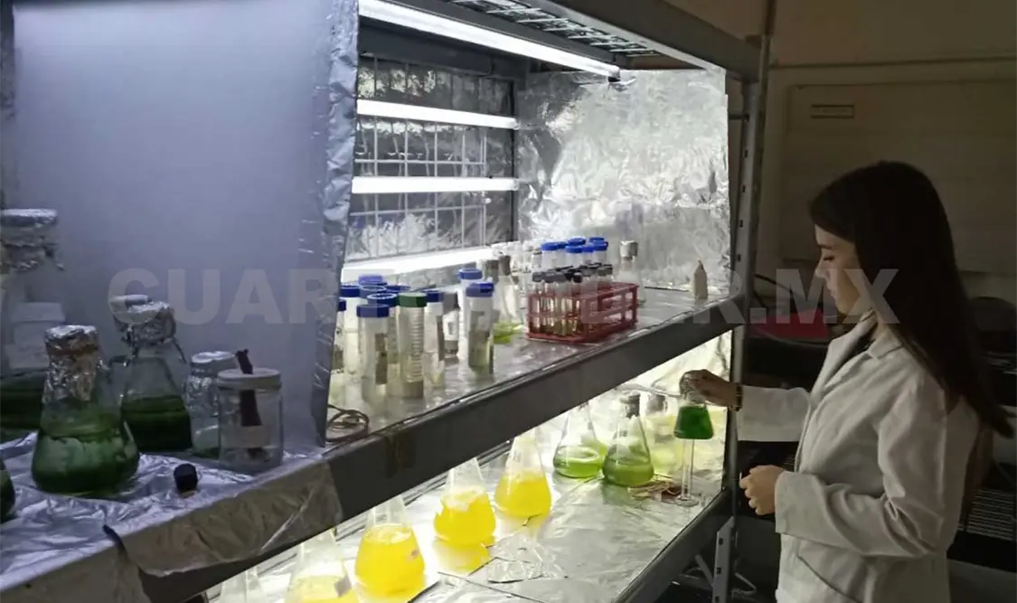 Recibirán financiamiento 31 proyectos del Tec Tuxtla