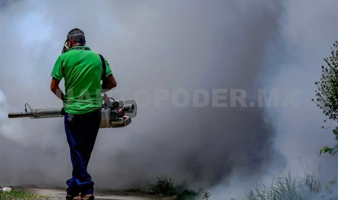 Reportan 800 casos probables de dengue