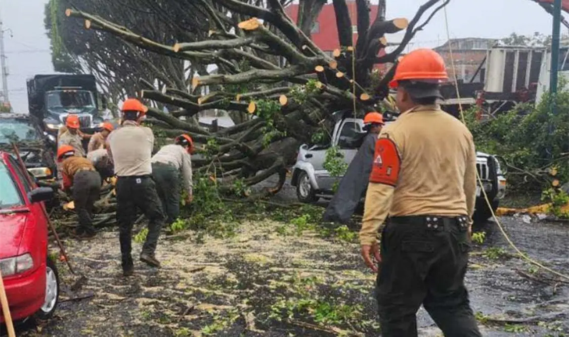 En Monterrey no hubo personas lesionadas, y los casos fueron atendidos en coordinación con Protección Civil. Cortesía