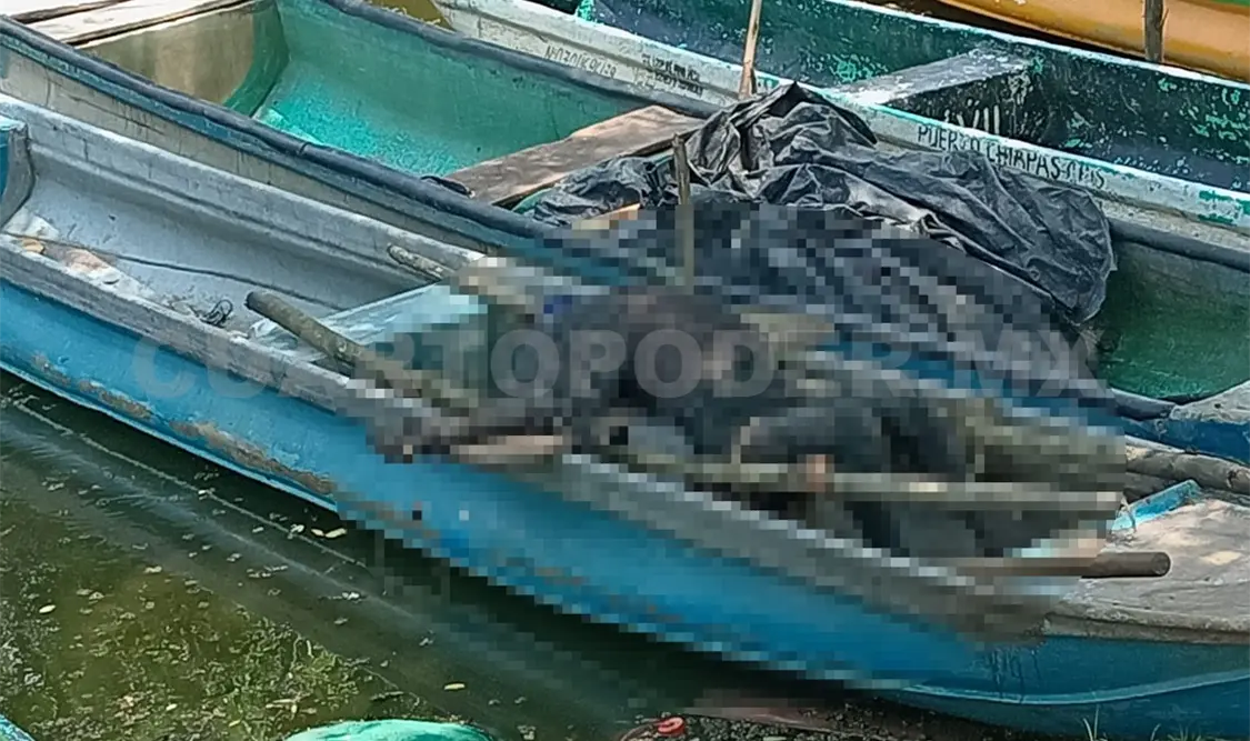 Pescador fallece por presunta intoxicación