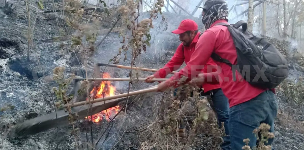 Incendio forestal daña 6 hectáreas de bosque