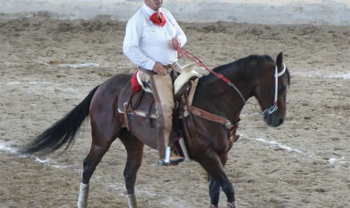 Hacienda Santa Teresa, monarca estatal 2023