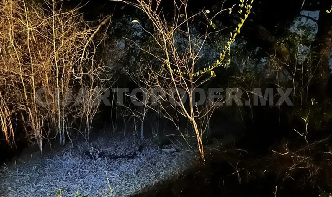 Restos humanos fueron hallados entre la maleza