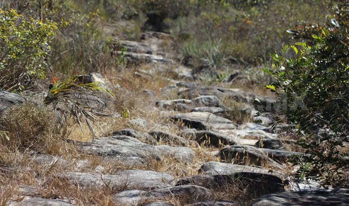 Alertan: las sequías serán cada vez peores