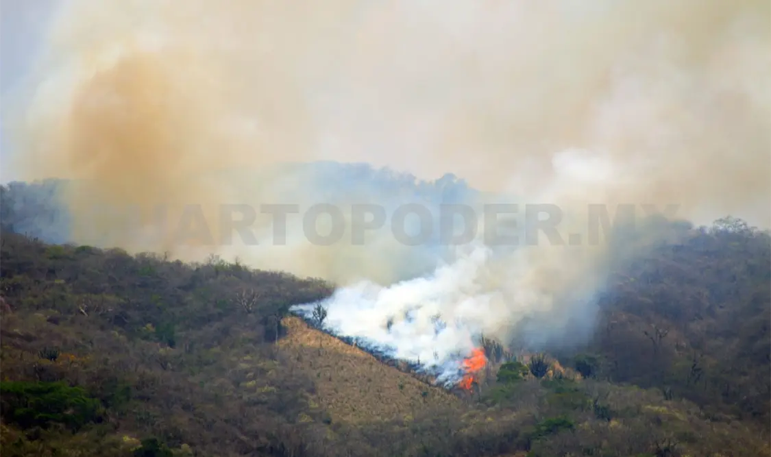 Se eleva a casi 8 mil hectáreas quemadas