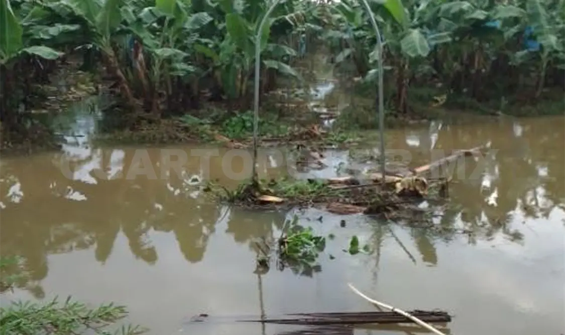 Preocupan los daños por desbordamiento del Suchiate