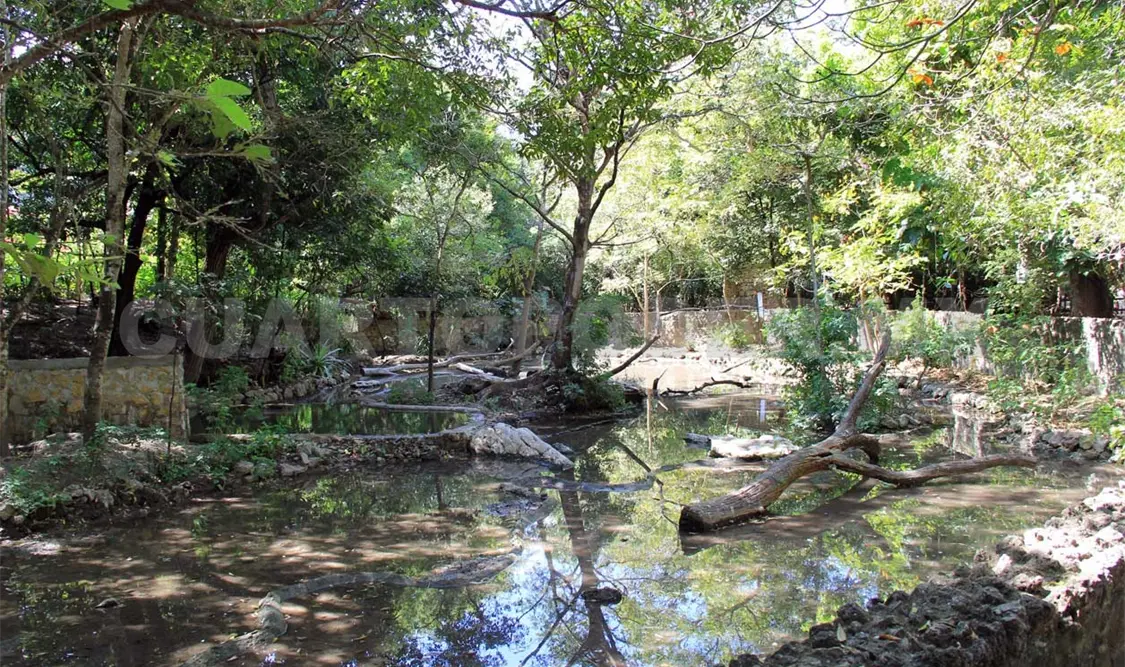 Celebrarán Semana del Medio Ambiente 2023