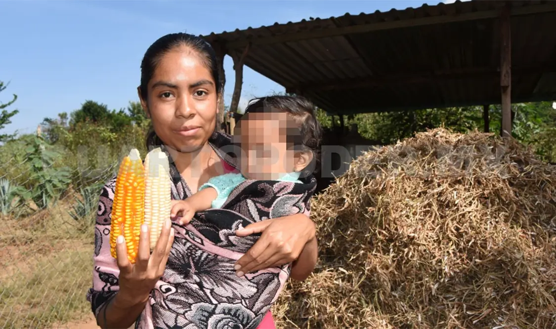 Solo 10 % de la mano de obra del campo es por mujeres