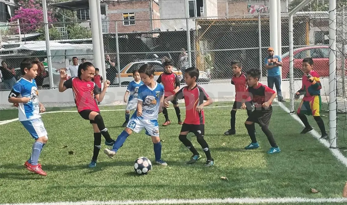 Conejos y Brasil, en la final de la Liga Tux 7
