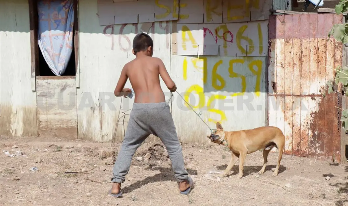 Es de calidad urgente poner un alto al maltrato animal, debido a que estos casos son constantes. CP