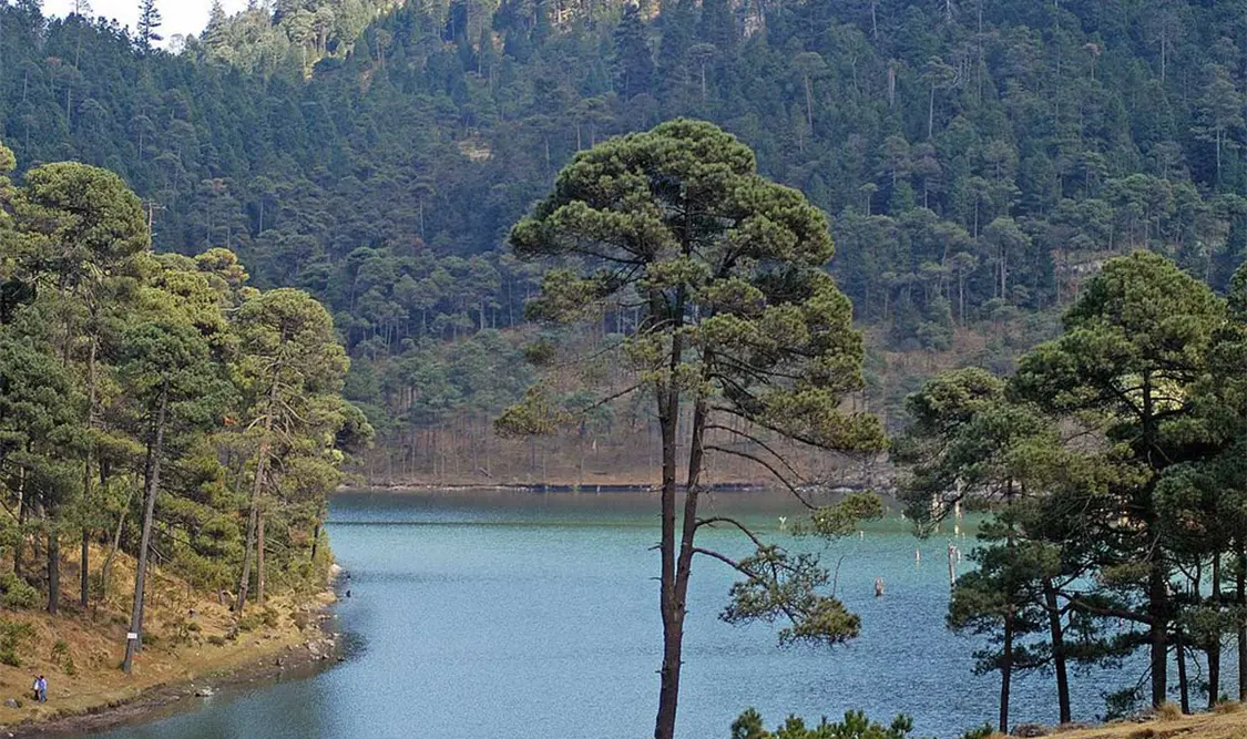 Frenan proyecto de viviendas en Área Natural Protegida