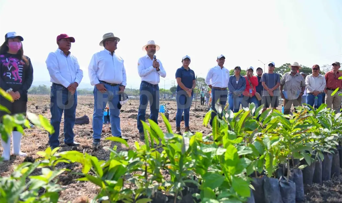 Siembra Unach más de dos mil plantas