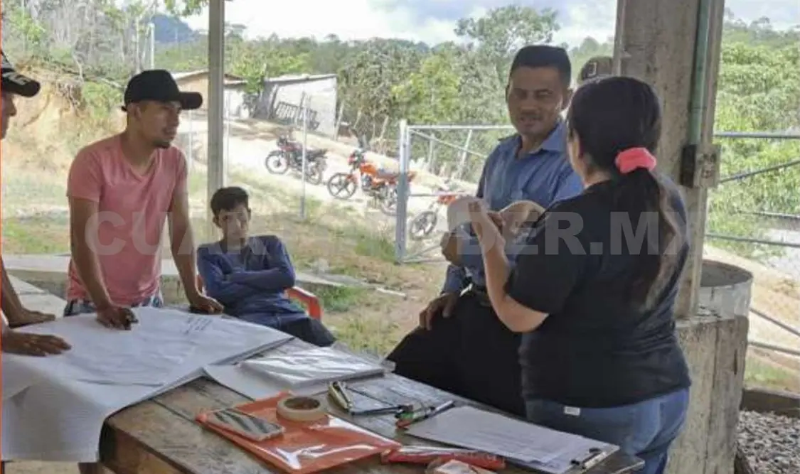 Brindan capacitación a productores de resina