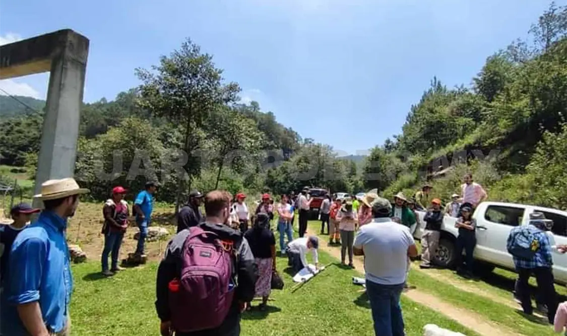 Inician con éxito la XVI Campaña de Reforestación