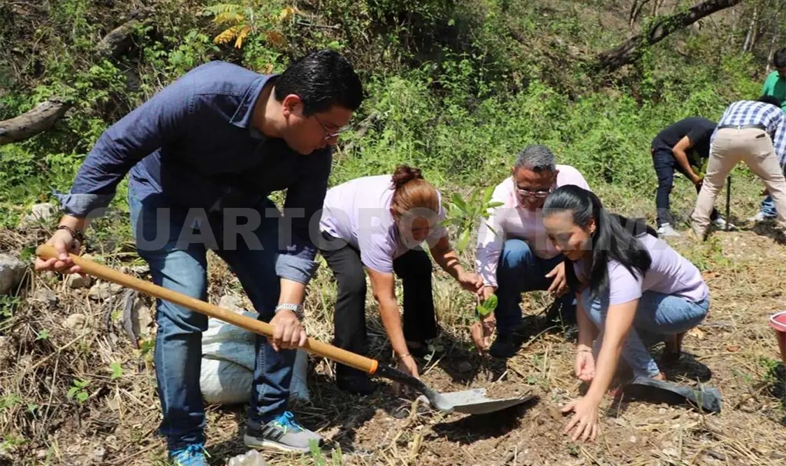 Reforesta ICTI la Reserva El Zapotal