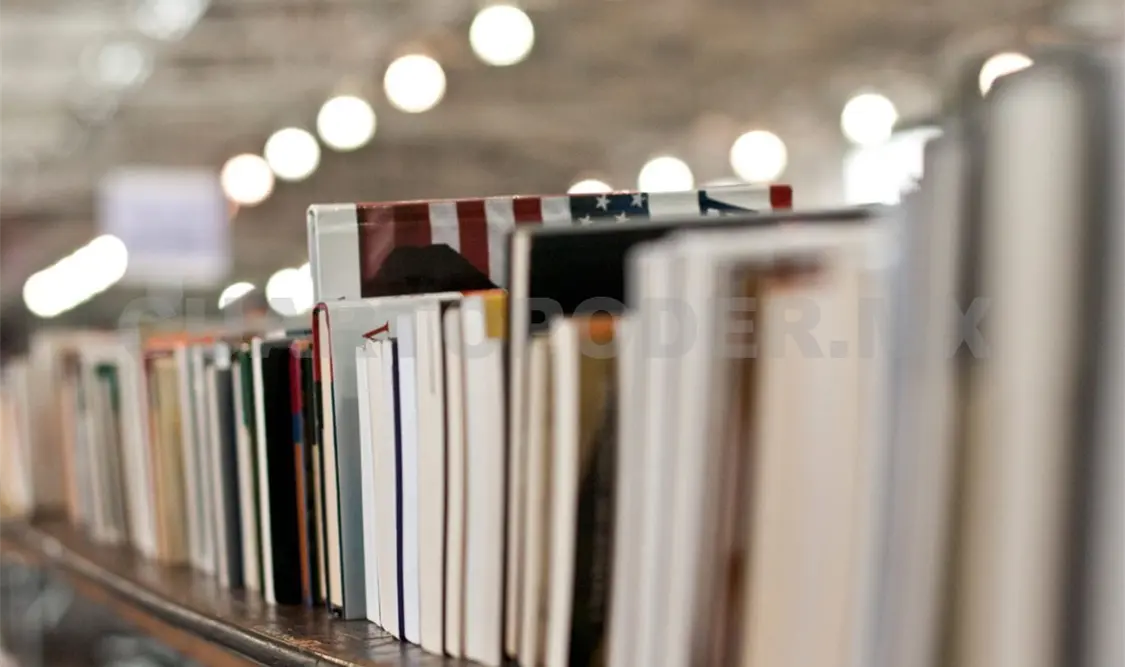 Piratería en los libros, un problema silencioso