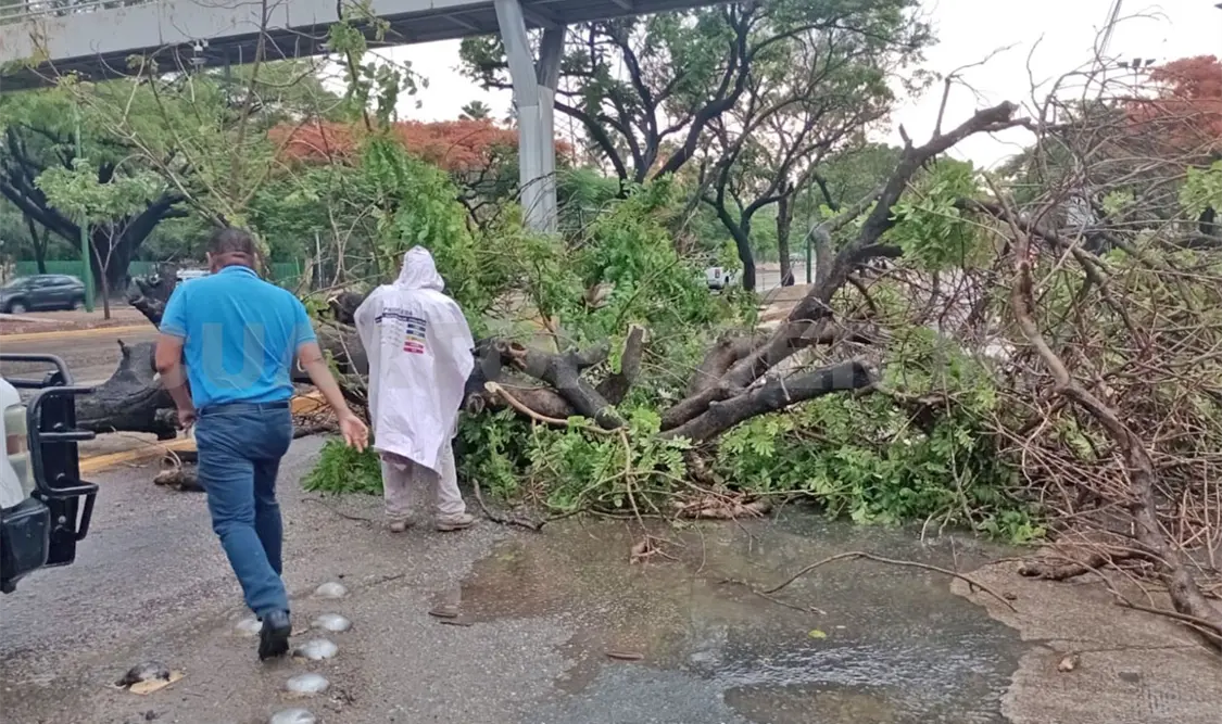 Lluvia en zonas de la ciudad; cayó granizo