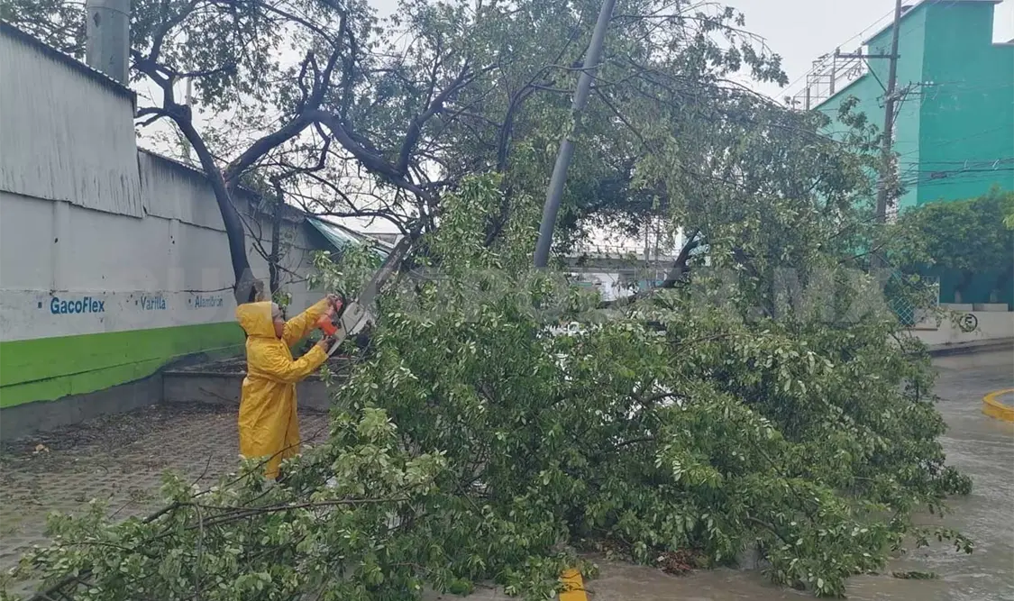 Primera lluvia deja serias afectaciones