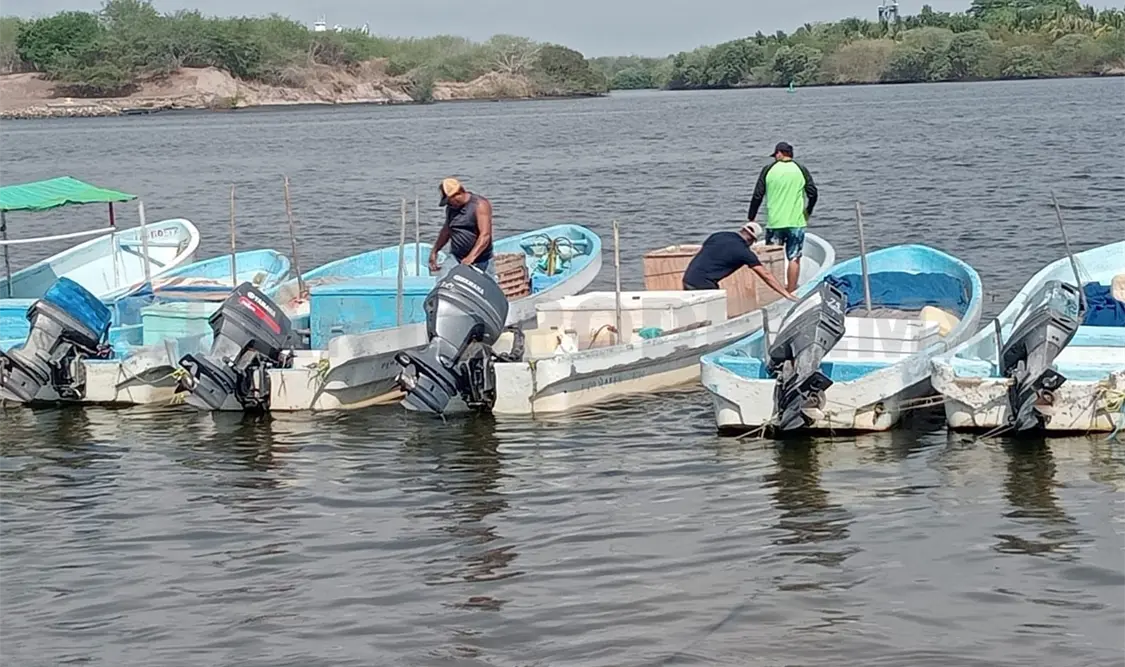 Pescadores de tiburón y escama reducen su flota