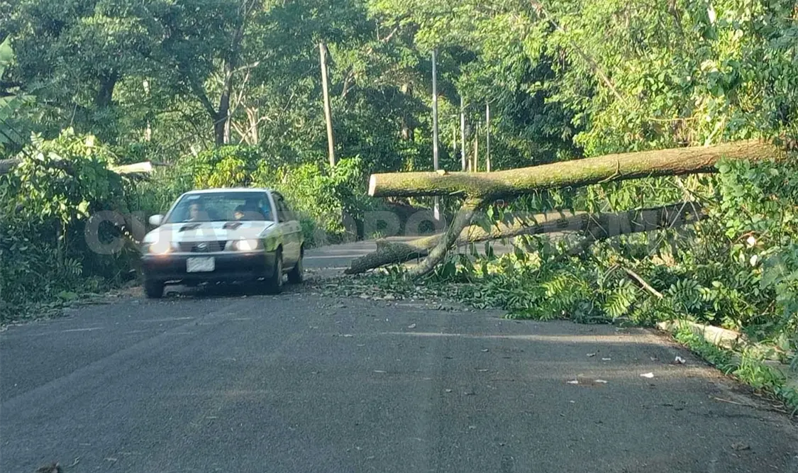 Tromba afecta a viviendas de la zona cafetalera