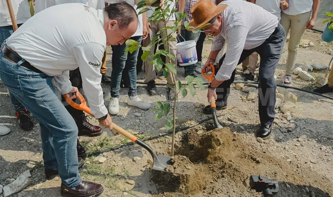 Estudiantes reforestan espacios educativos