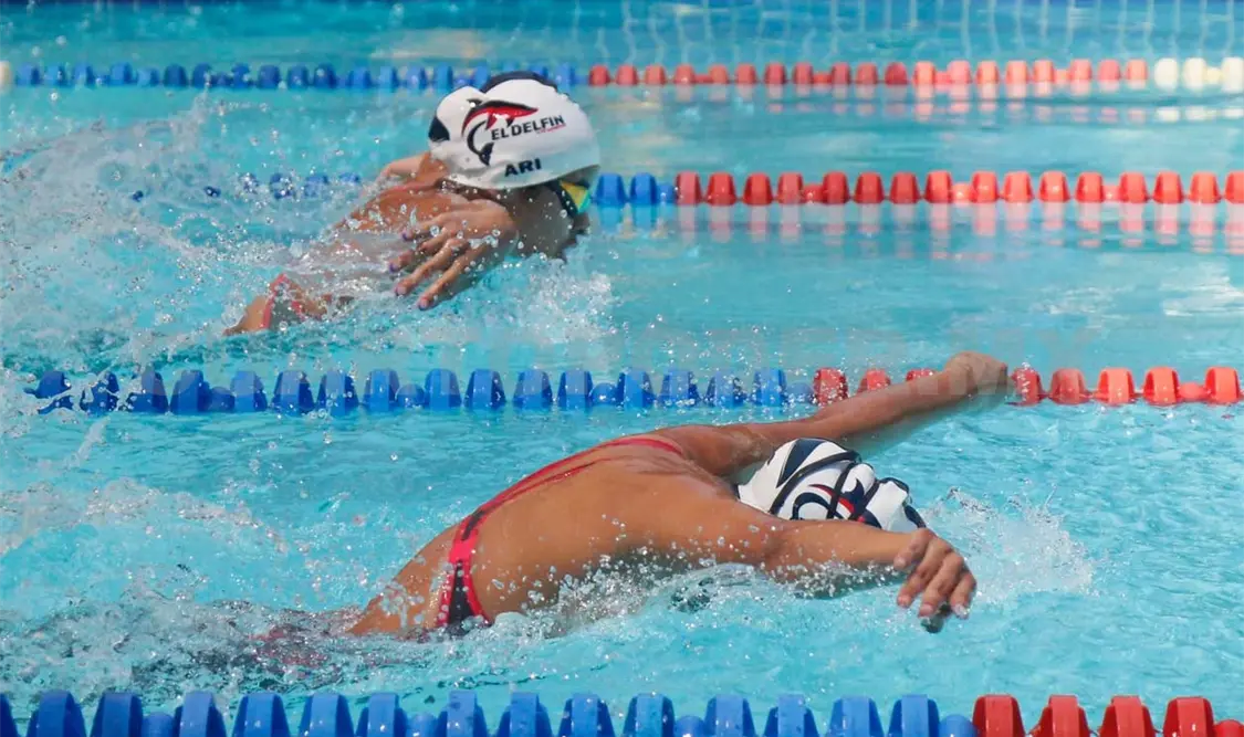 Delfines dan marcas para regional y nacional