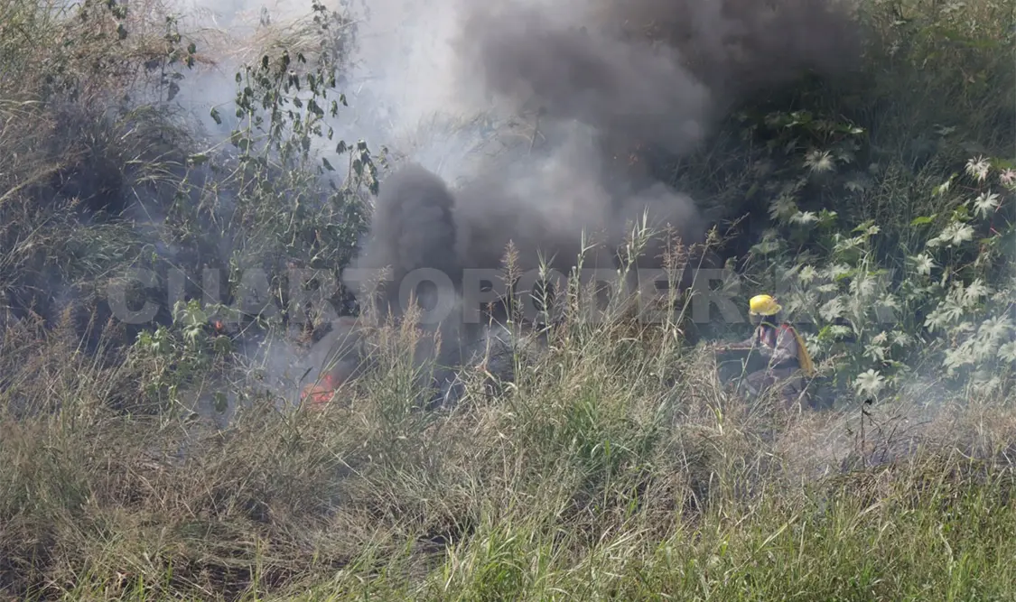 Reducen impactos por incendios en la Reserva El Ocote