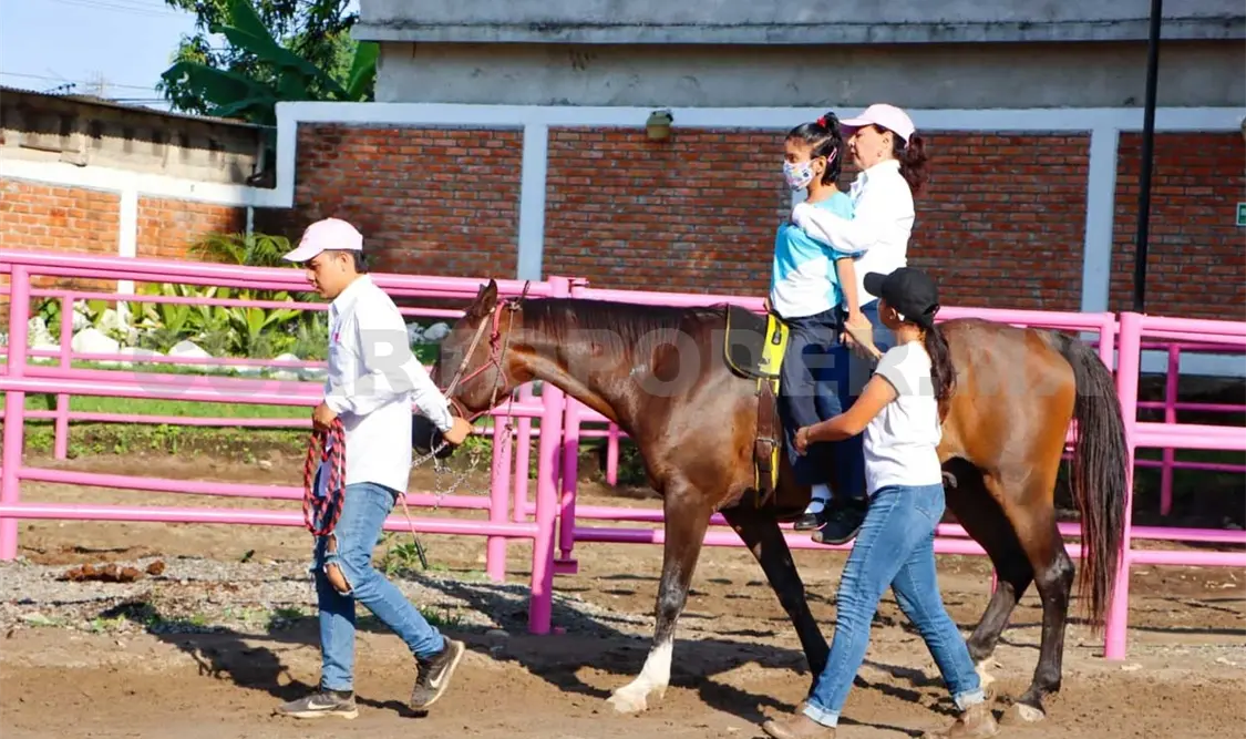 Brindan servicio de equinoterapia