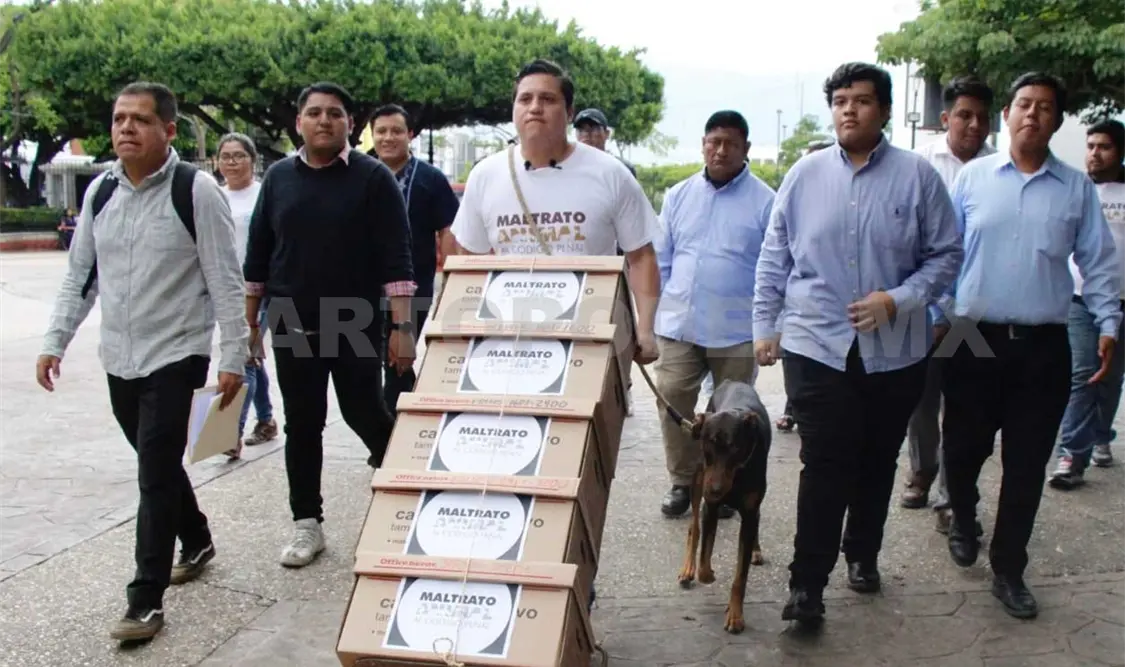 Recolectan firmas para sancionar maltrato animal