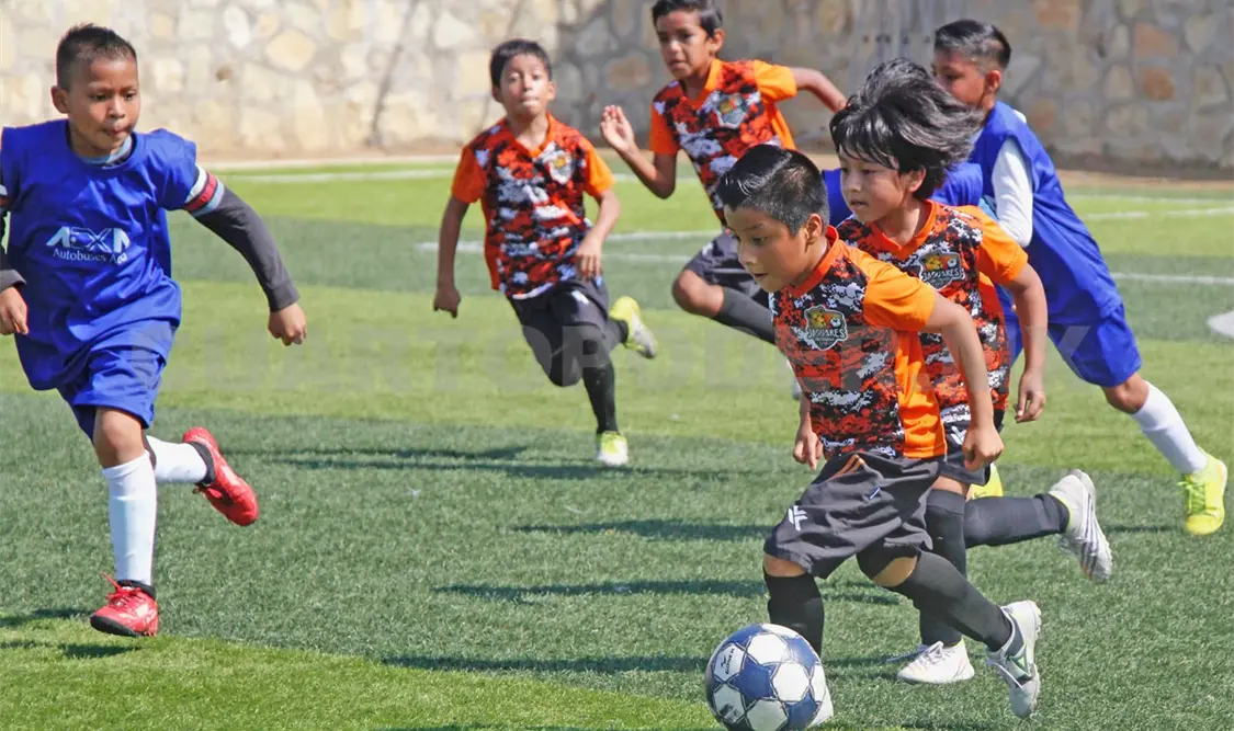 Jaguares de San Fernando derrota a Aexa