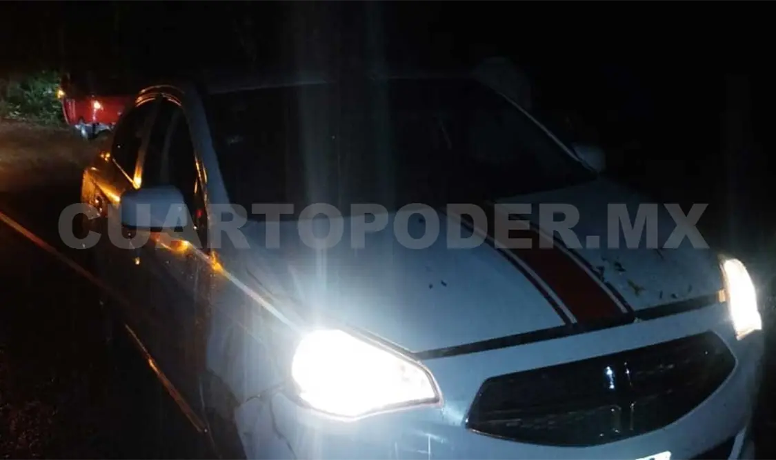 Sale del camino y acaba en la maleza