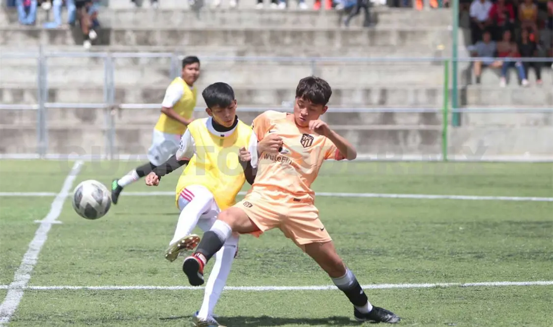 Más de 40 juegos para el Torneo Zoé Water