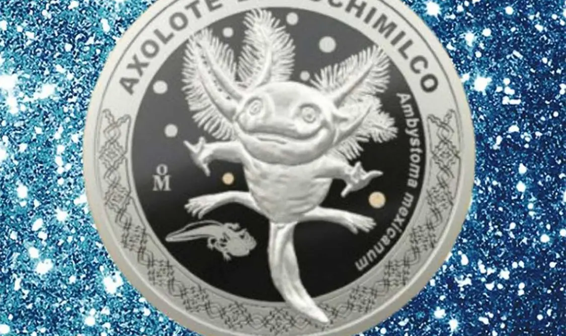 Dentro de los siete diseños con los que cuenta la colección de medallas, se encuentran los grabados del panda gigante, el bisonte americano, el lobo mexicano, el cóndor de California, el teporingo, el flamenco del Caribe y el ajolote de Xochimilco.