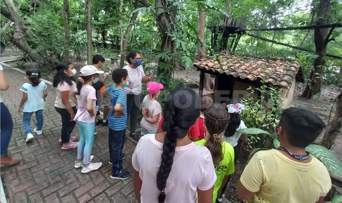 Ecología, vital para generar conciencia en la niñez