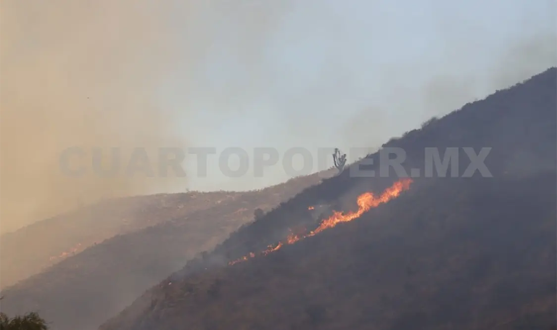Suman 338 incendios forestales en Chiapas