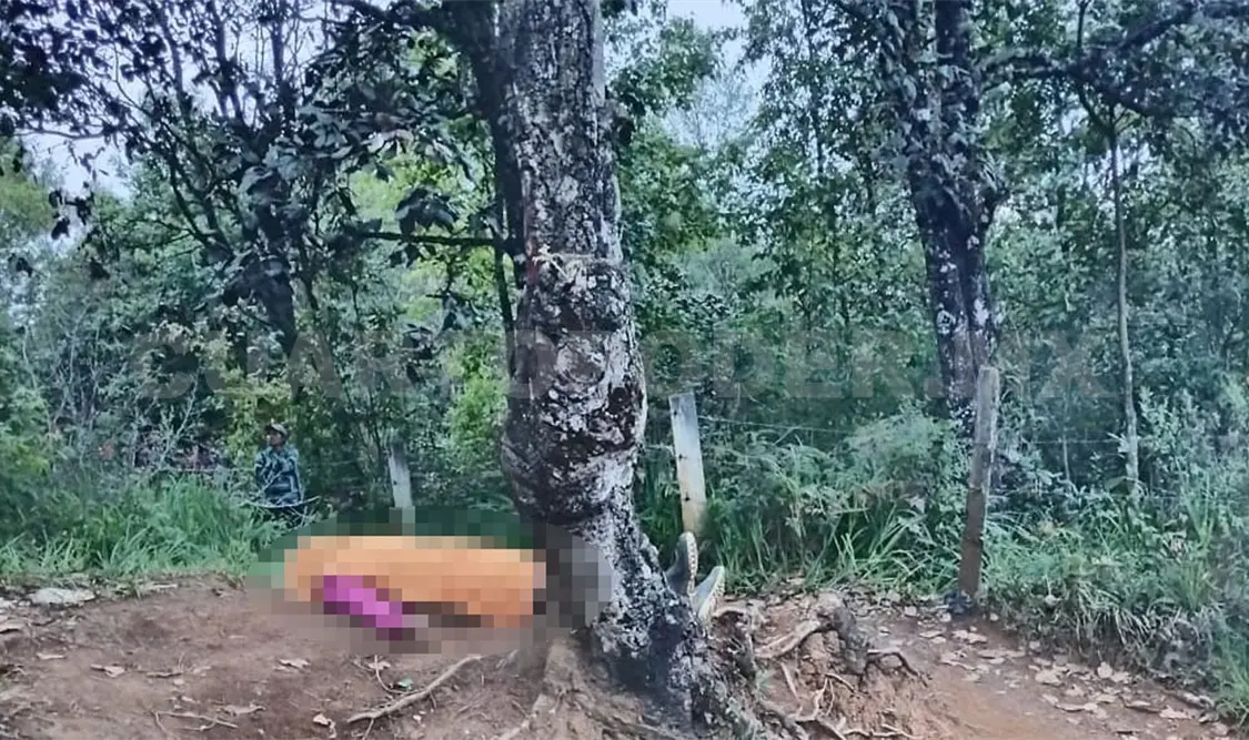 Se priva de la existencia colgándose de un árbol