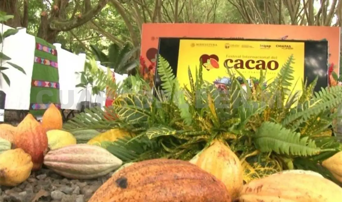 Todo listo para el Festival Internacional del Cacao