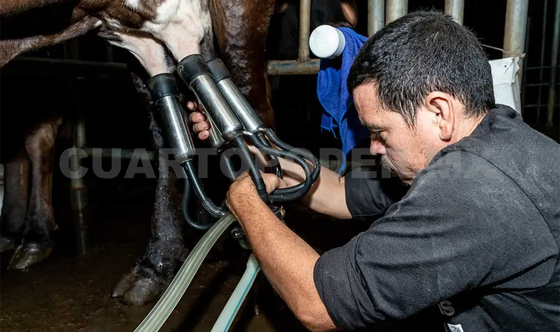 Capacitación de ganaderos lecheros de pequeña escala
