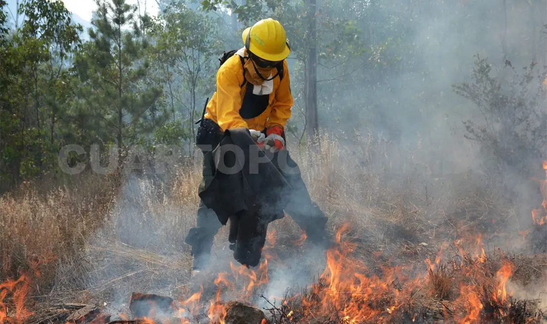 Son 349 incendios que han quemado miles de hectáreas
