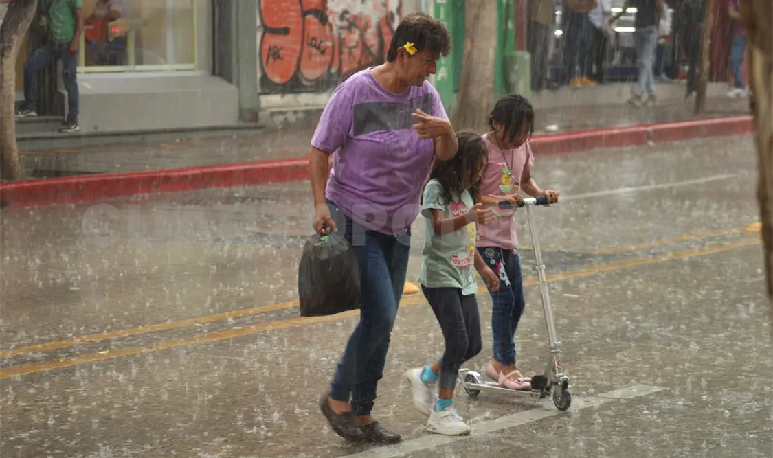 Cambio climático también afecta a la entidad: especialista