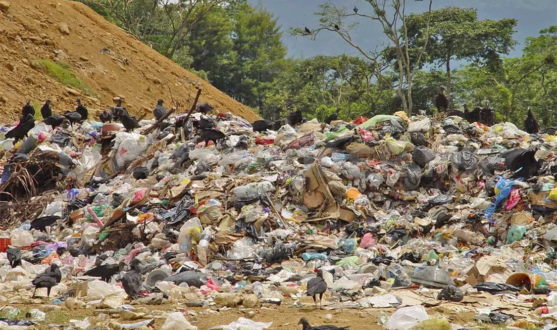 Problema de basura, grave daño ante la falta de cultura