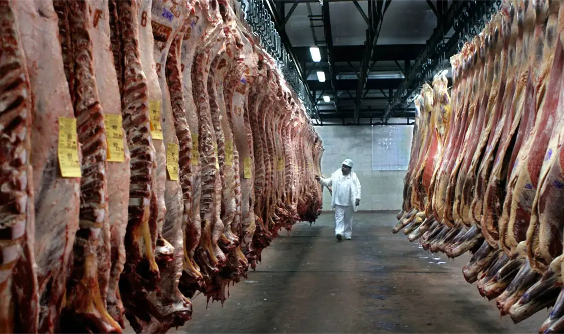 Caen exportaciones de carne en México